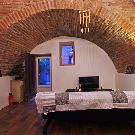 Le Pialou Apartment Albi Exterior photo